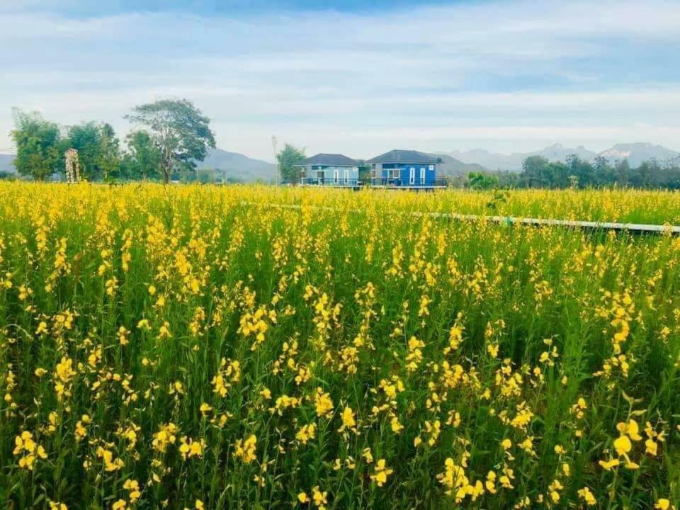 Holiday park Ban Thung Talay Mok Chiangdao *