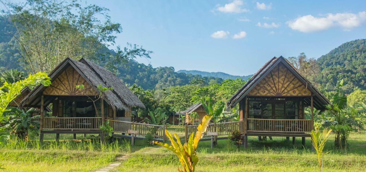 Our Jungle Camp - Eco Resort