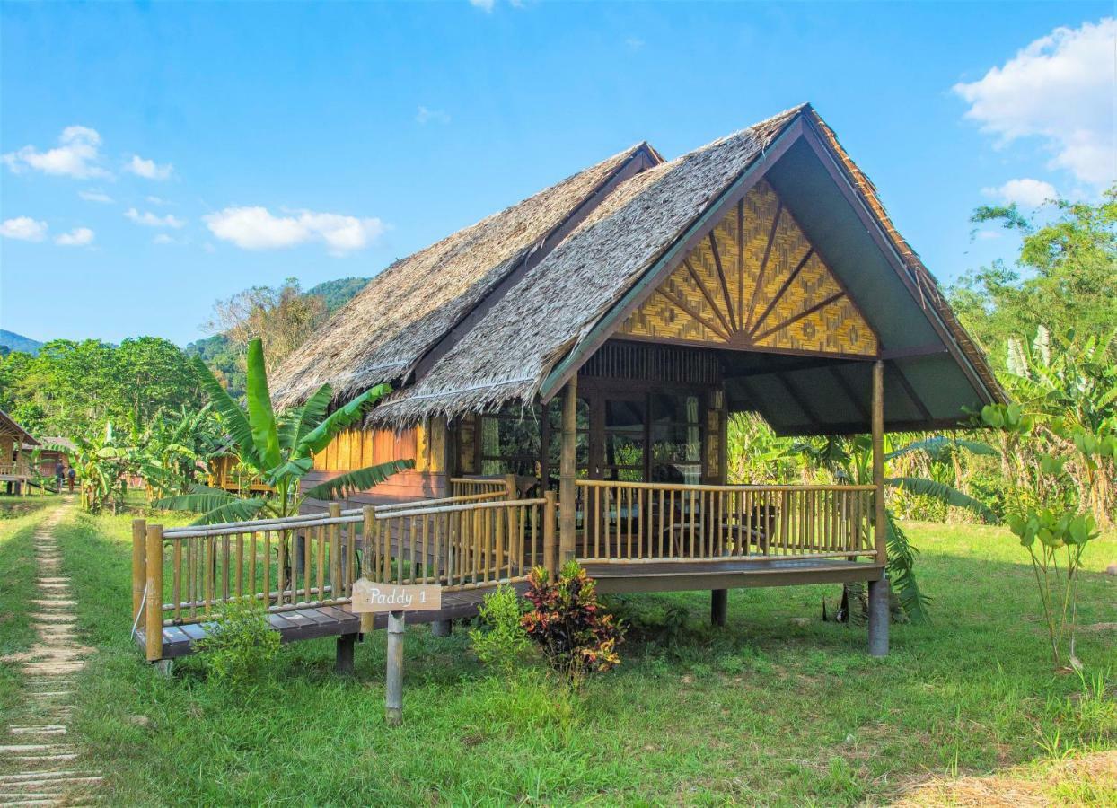 Resort Our Jungle Camp - Eco