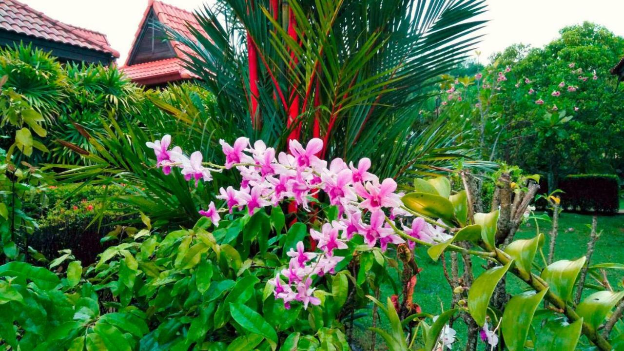 Holiday home Family-friendly House, A Few Steps From The Pool And Close To The Ocean. Mae Phim