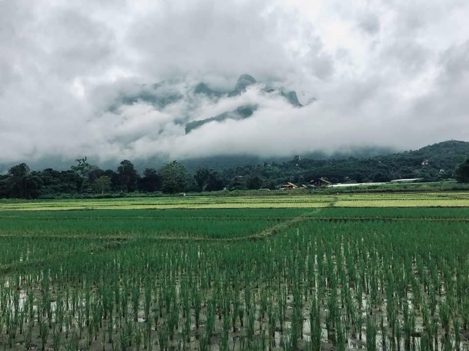 Ban Thung Talay Mok Chiangdao * Chiang Dao