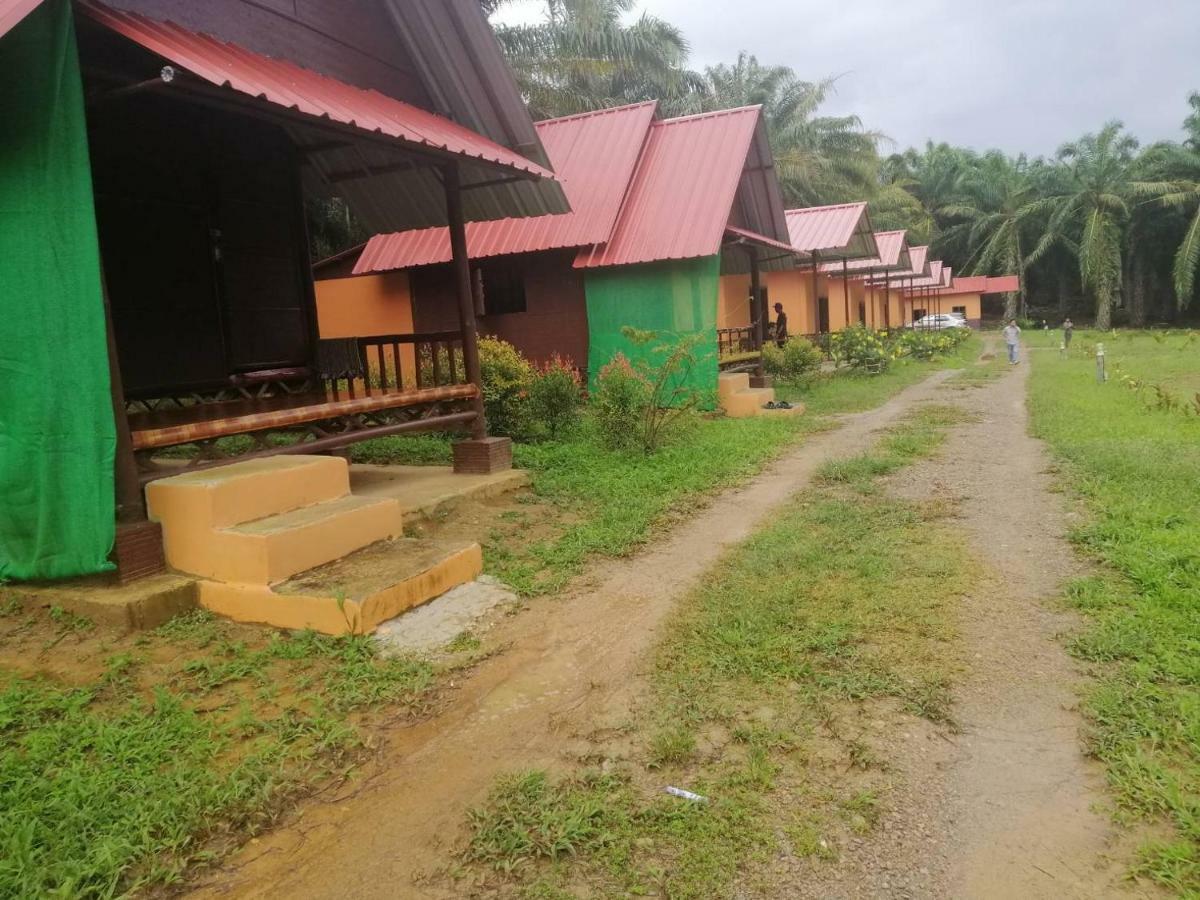 Khao Sok Evergreen House * Khao Sok National Park
