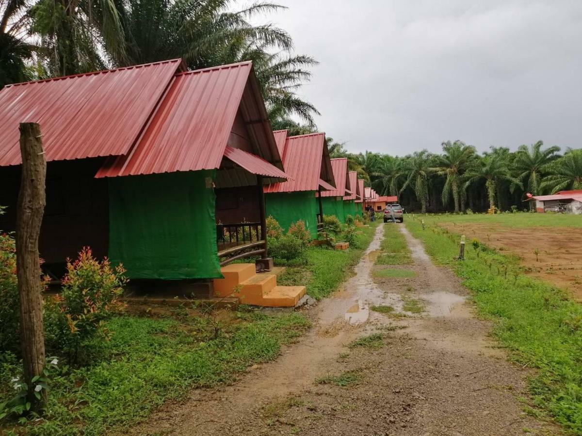 Khao Sok Evergreen House Khao Sok National Park