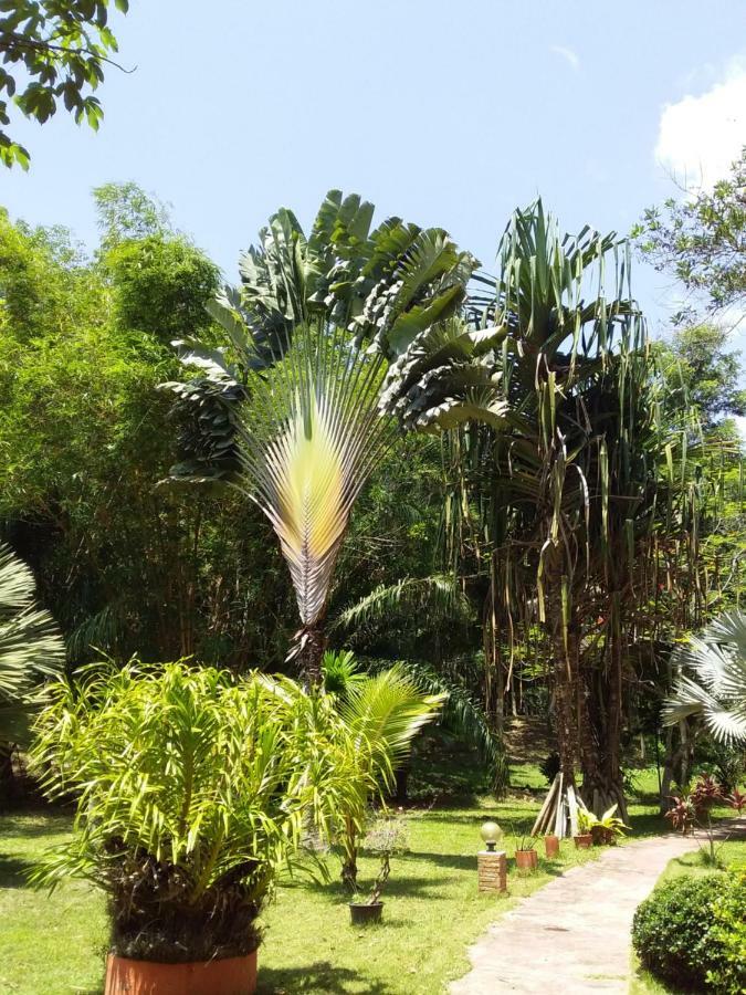 Beautiful Flower