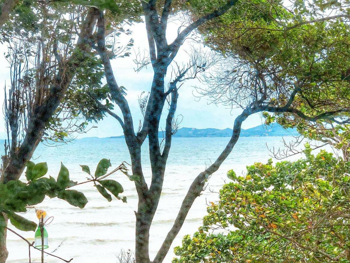 Birds And Bees 3* Pattaya