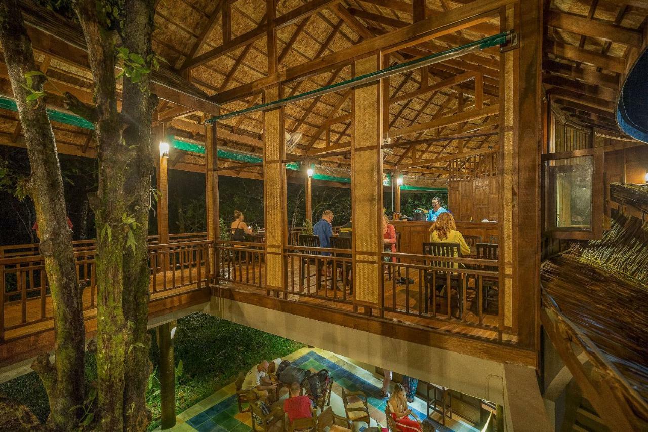 Our Jungle Camp - Eco