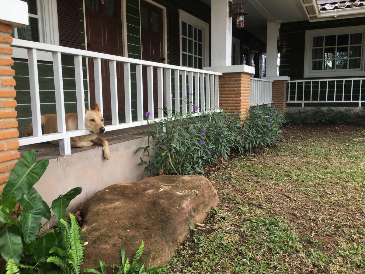 Guest house The Land