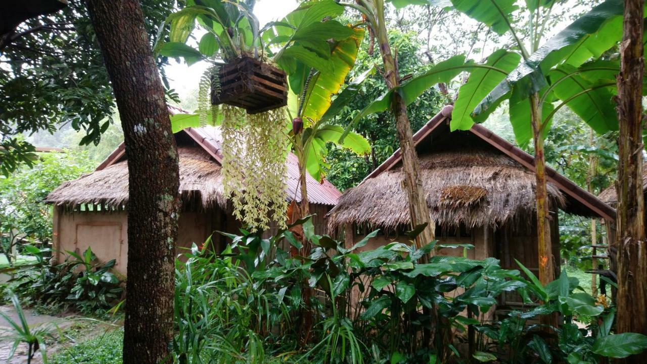 Hill Tribe Art House *