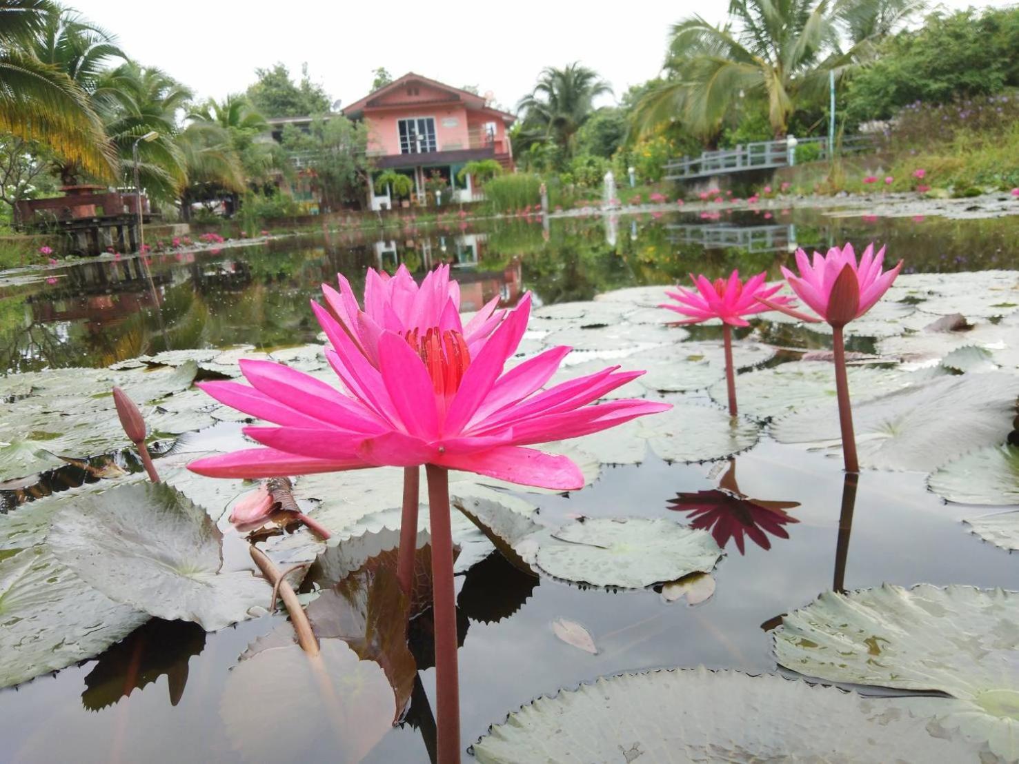 Guest house Suan Nopparat *