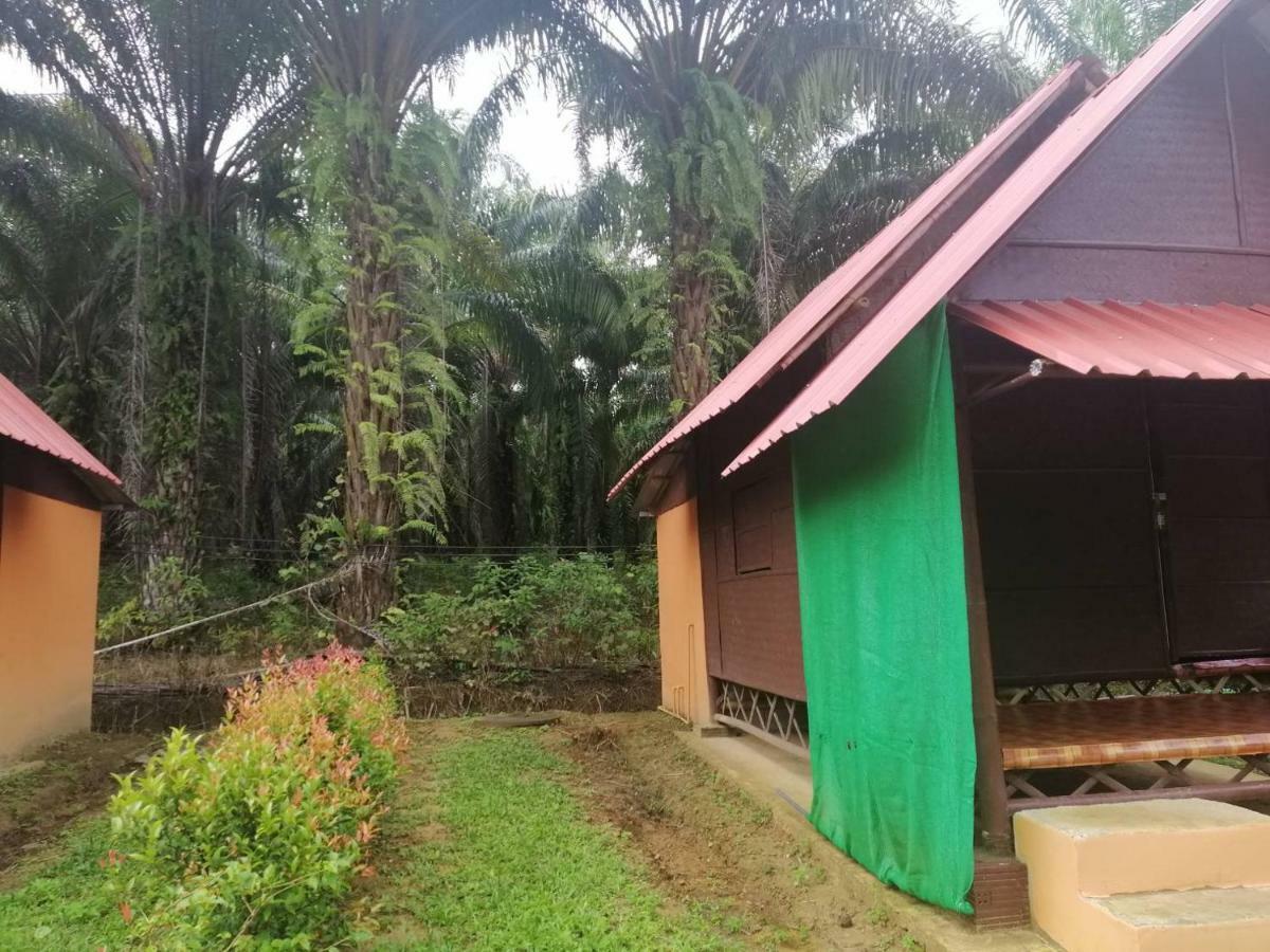 Khao Sok Evergreen House Khao Sok National Park