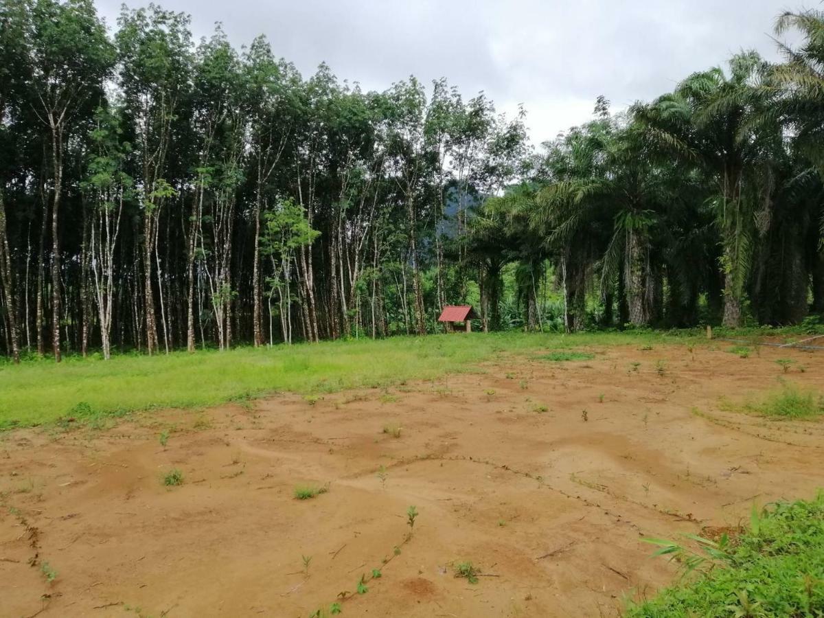 Khao Sok Evergreen House Holiday park Khao Sok National Park