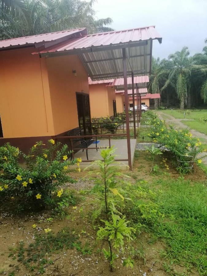 Khao Sok Evergreen House
