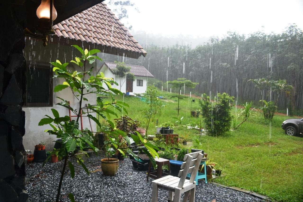 Homebar Homestay