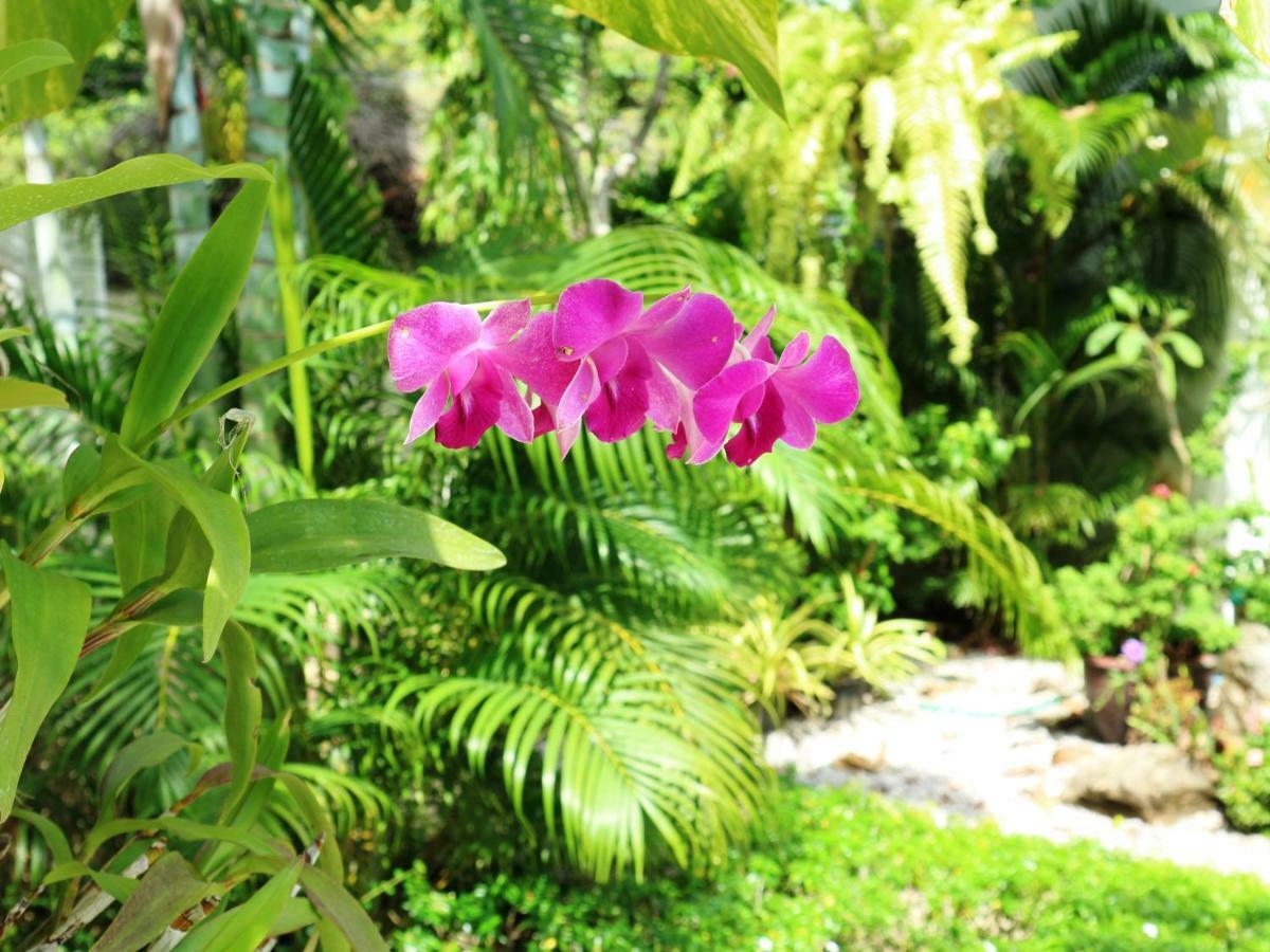 Baan Sabaaidee - Adult Friendly 3* Hua Hin