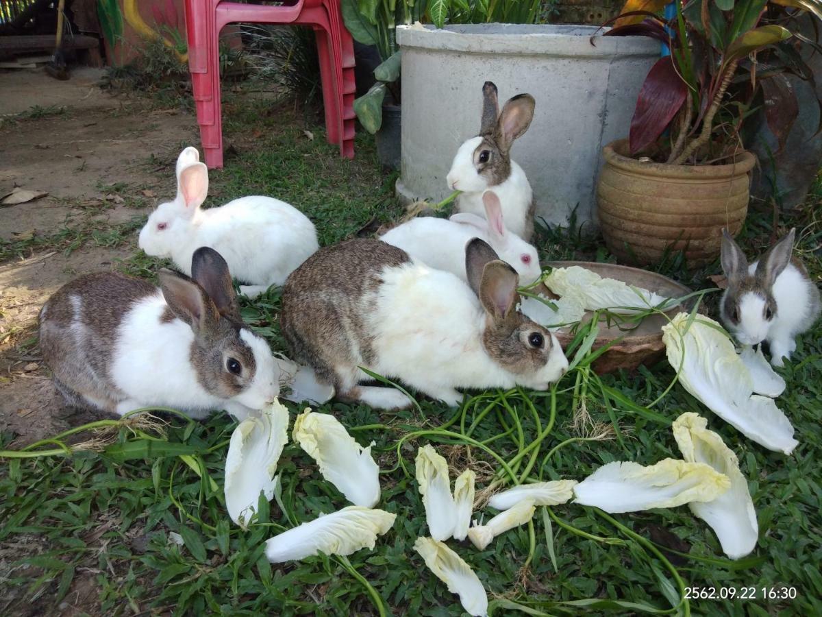 Baan Suan Jantra 2*