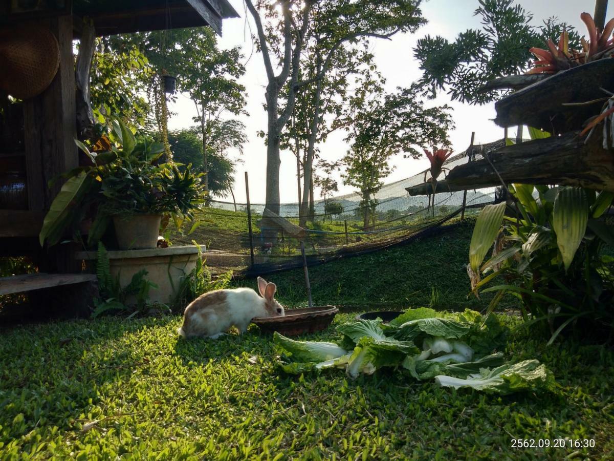 Resort Baan Suan Jantra