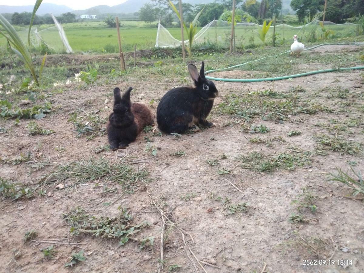 Baan Suan Jantra 2* Chiang Rai