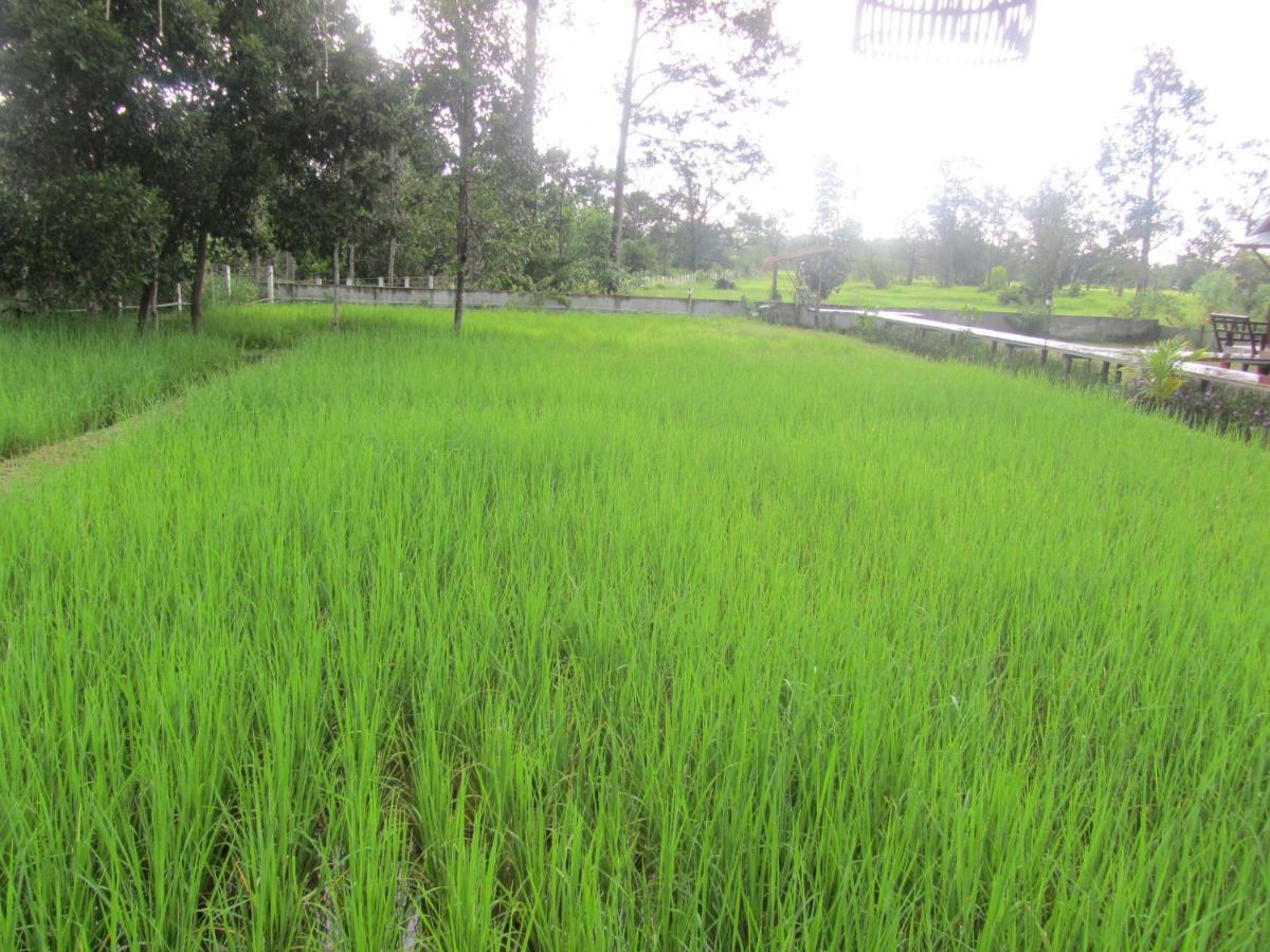 Resort Baan Thung