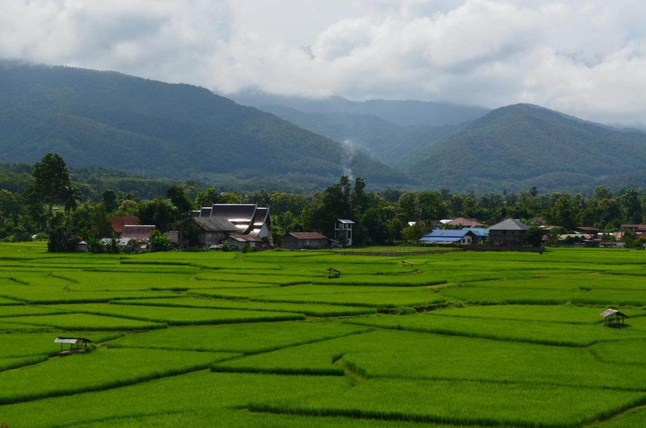 Homestay Tranquil Vista