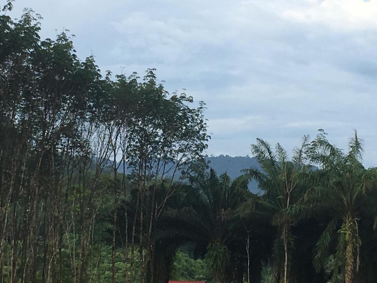 Khao Sok Evergreen House Holiday park *
