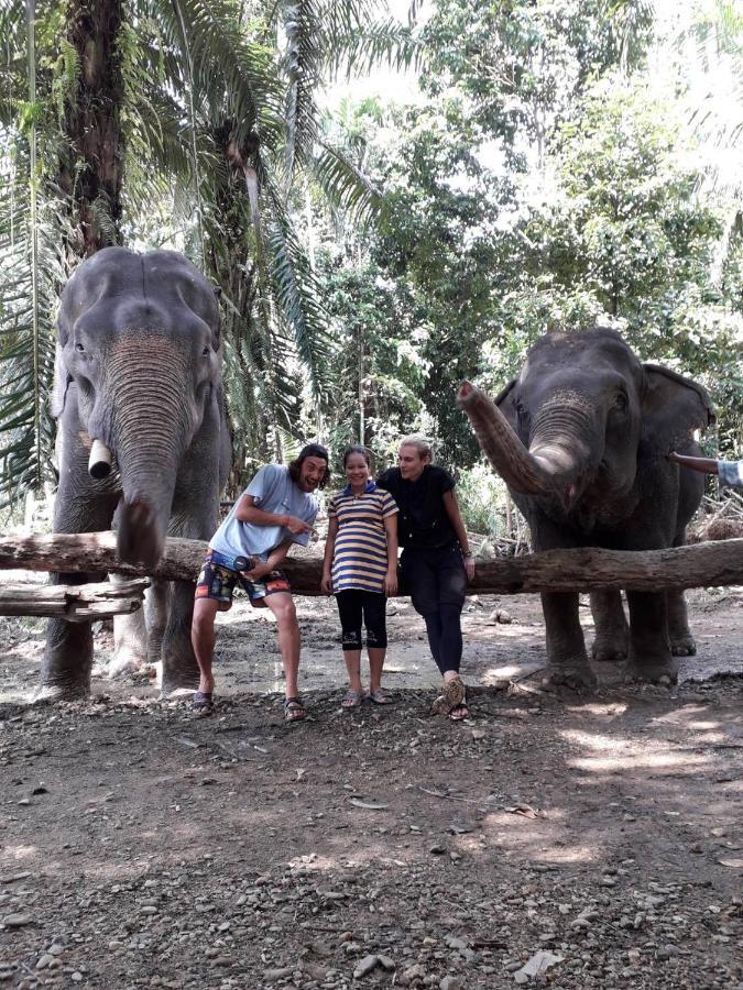 Khao Sok Evergreen House *