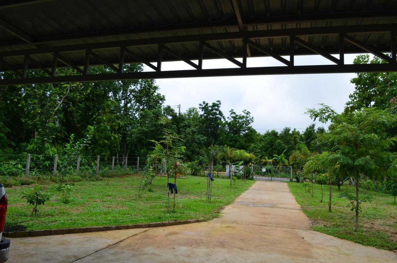 Tranquil Vista * Pua