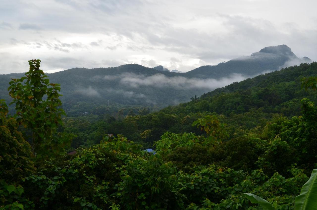 Tranquil Vista Homestay *