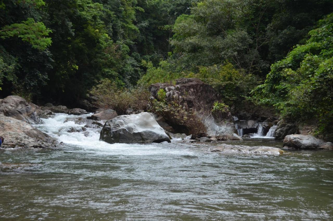 Tranquil Vista Homestay