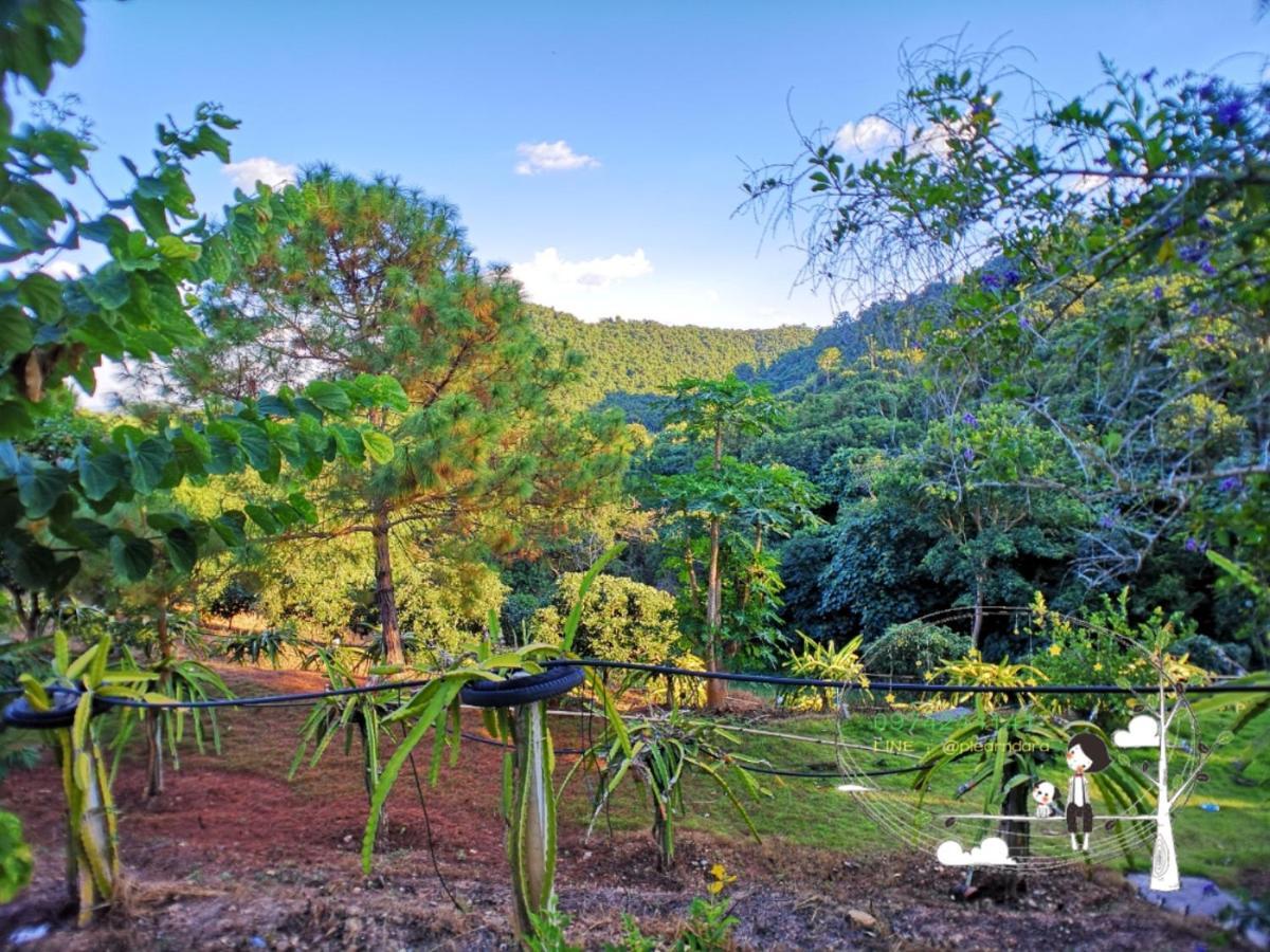 Homestay Baan Suan Plearndara Wang Nam Khiao
