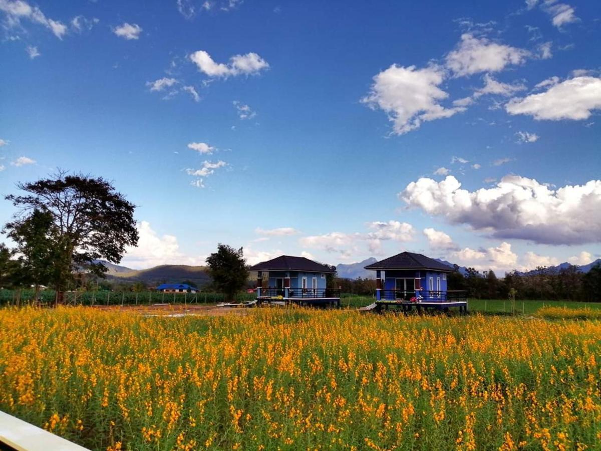 Ban Thung Talay Mok Chiangdao *