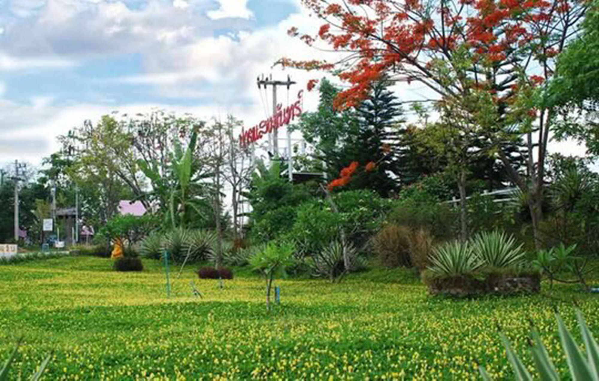 Resort Sangjun 3*