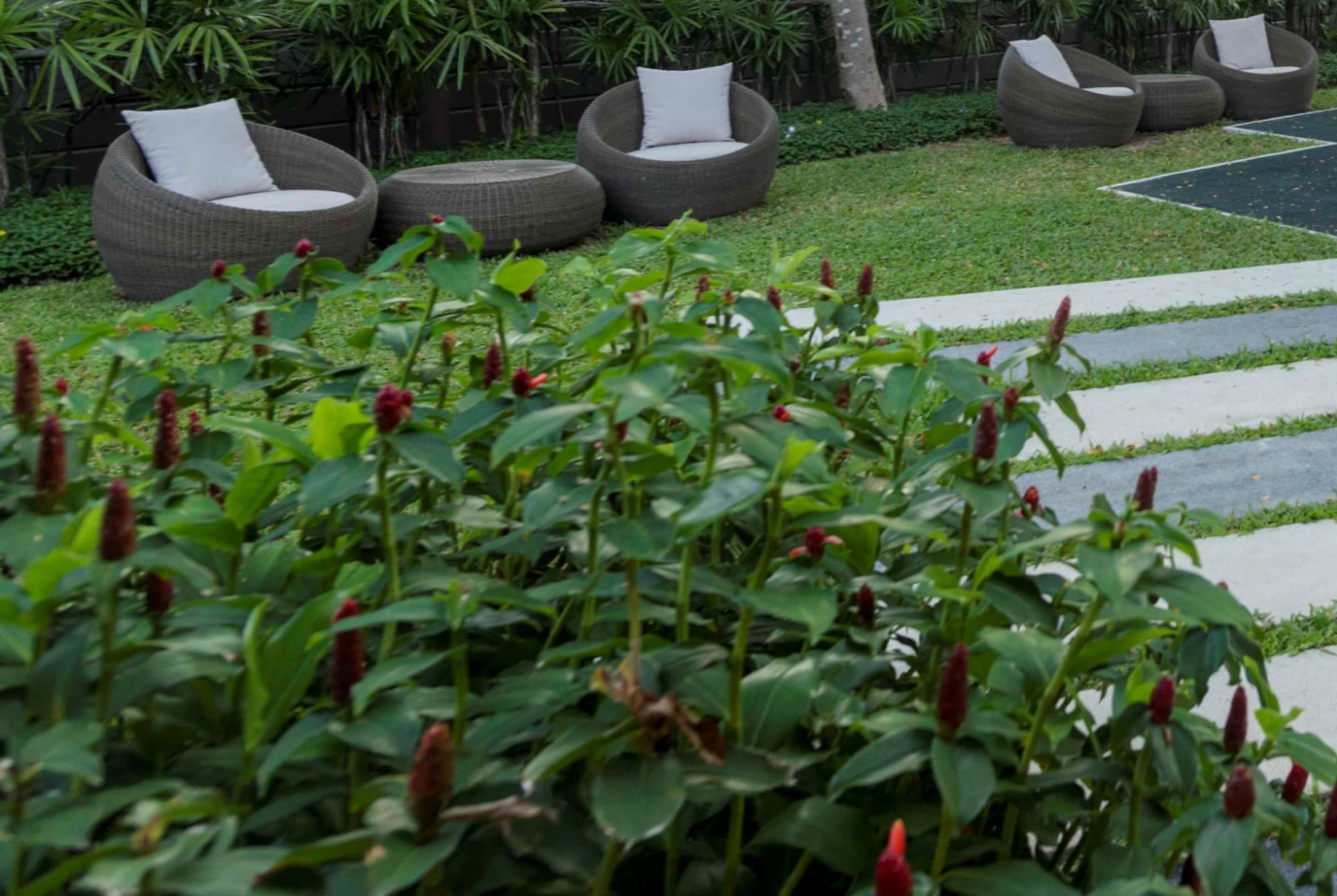 Rain Hua Hin By D-light Apartment Cha-Am