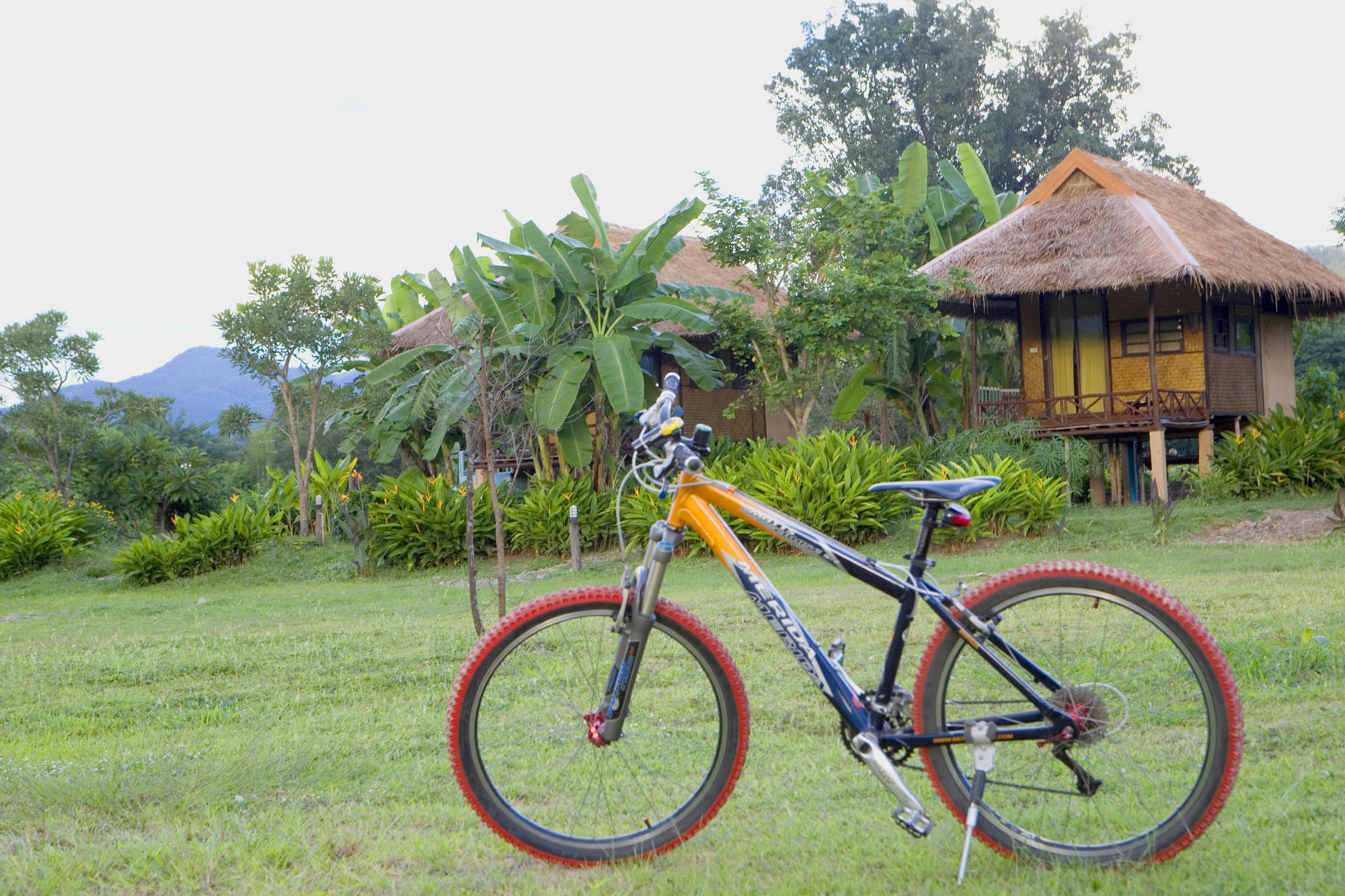 Good Morning Holiday park Pai