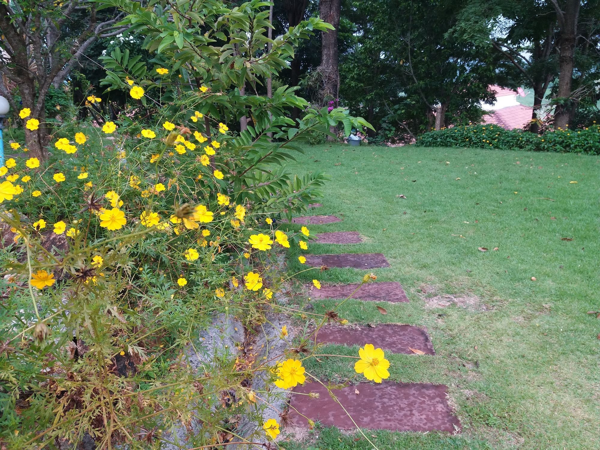 Eden Hill Khao Yai Resort Wangkata