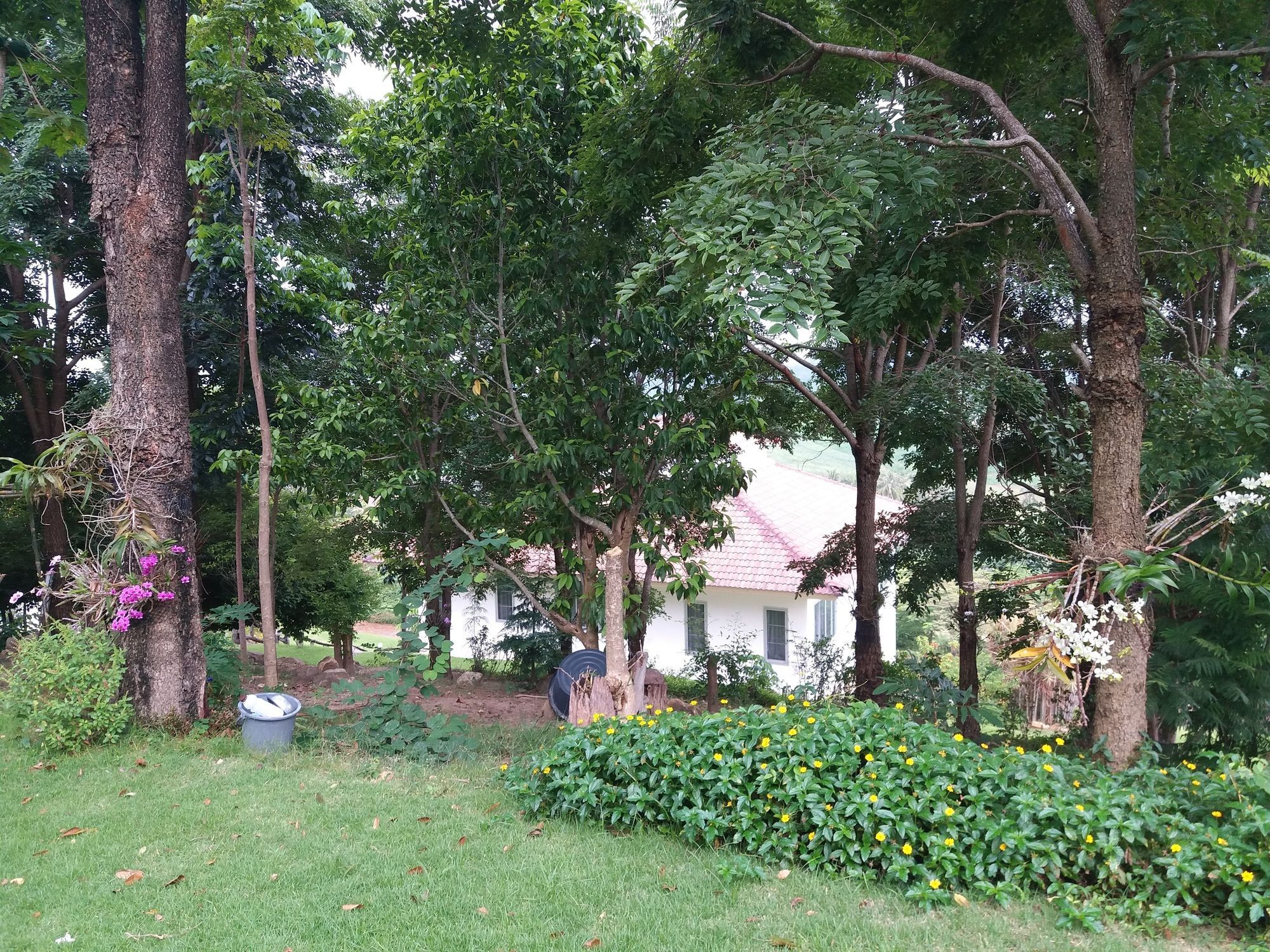 Eden Hill Khao Yai Resort
