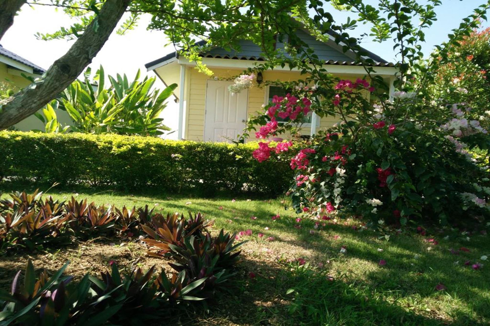 Les Collines Resort