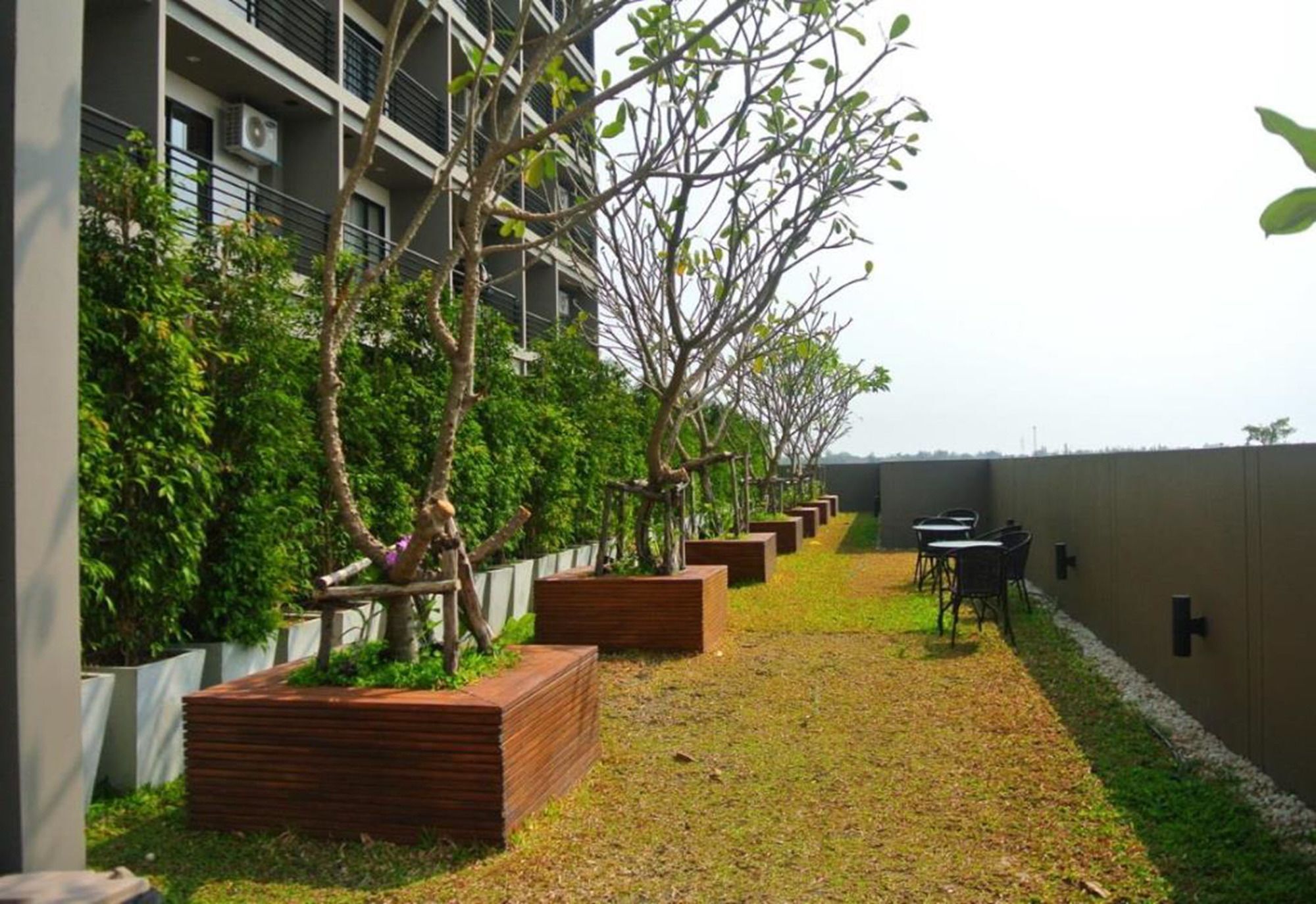 Himawari At Apartment