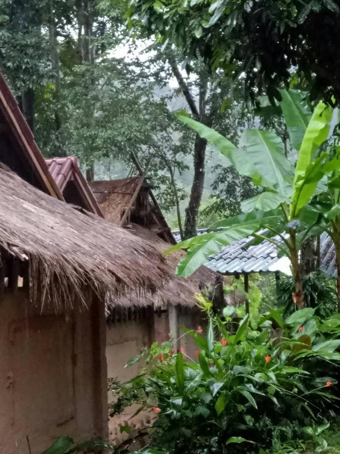 Homestay Hill Tribe Art House *