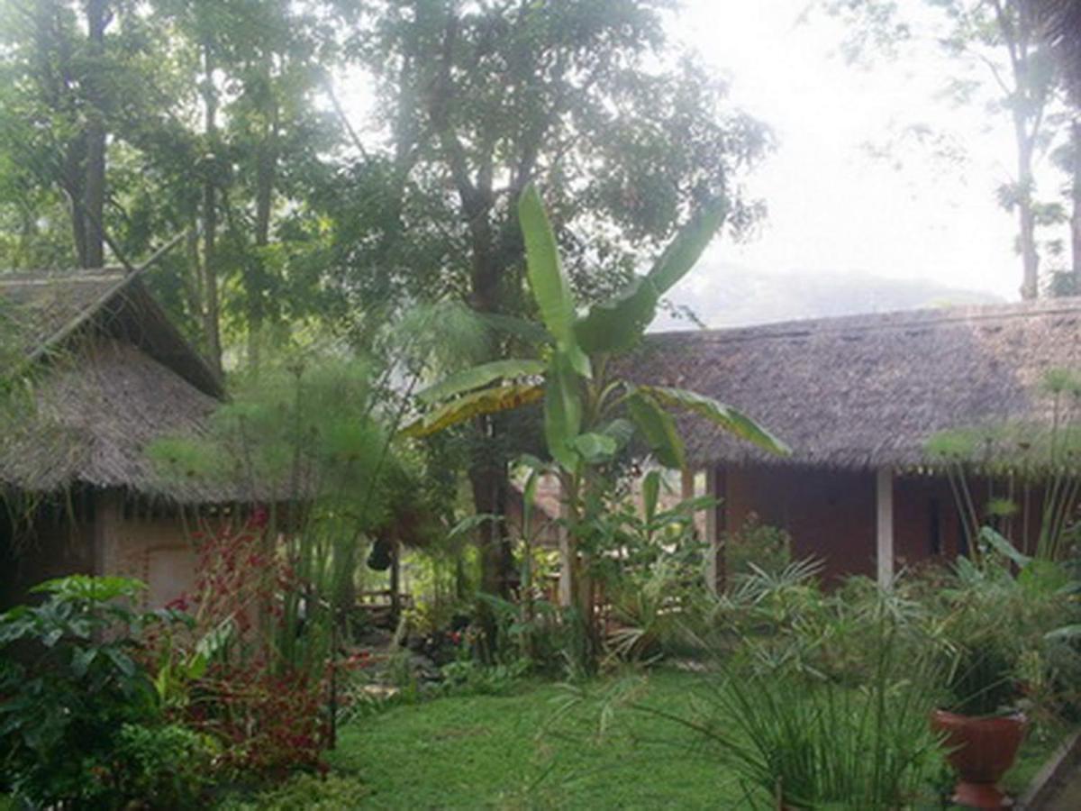 Hill Tribe Art House