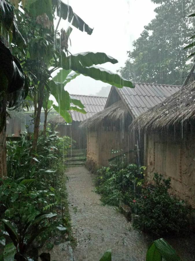 Hill Tribe Art House Homestay