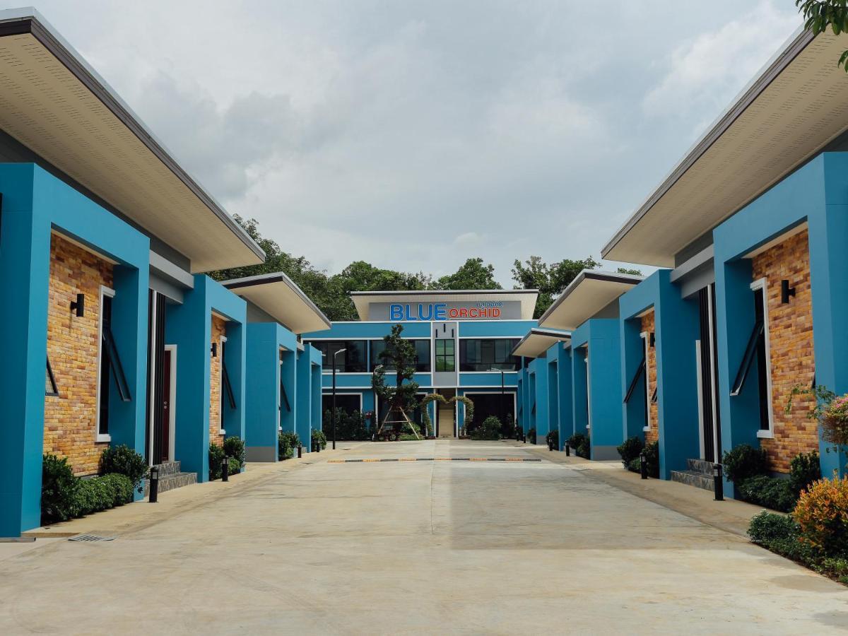 Blue Orchid Trang