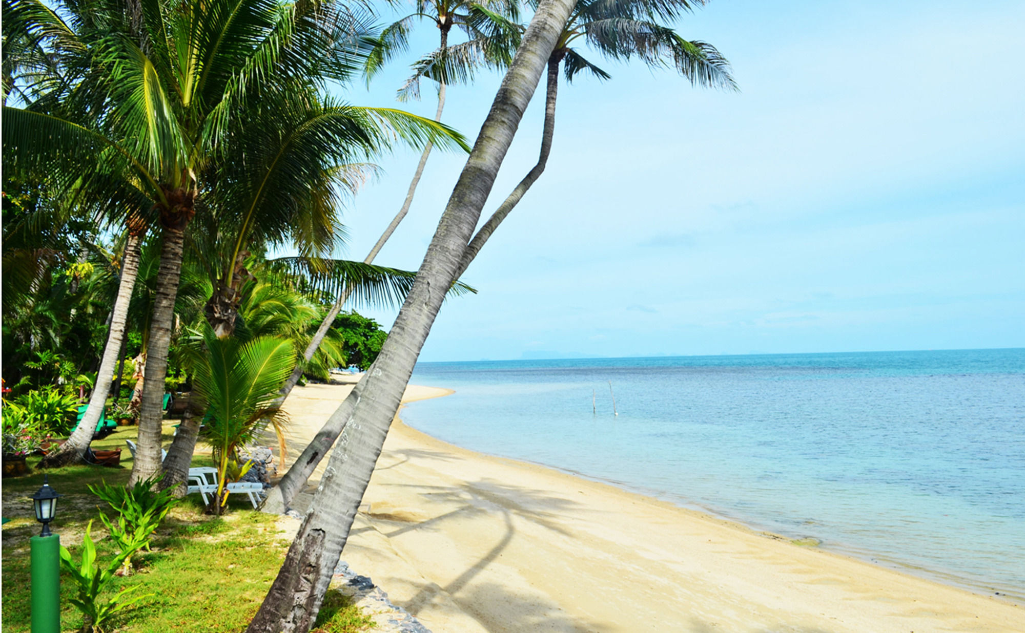 Hotel Green Coconut Village B1