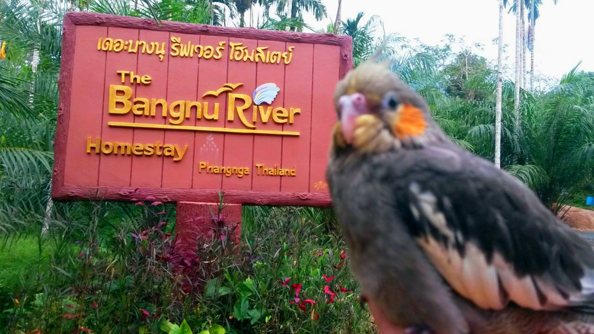 Bangnu River Resort 3*
