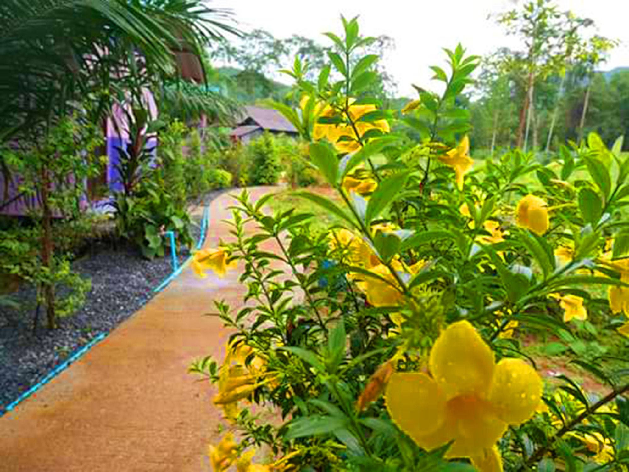 Bangnu River 3* Phang Nga