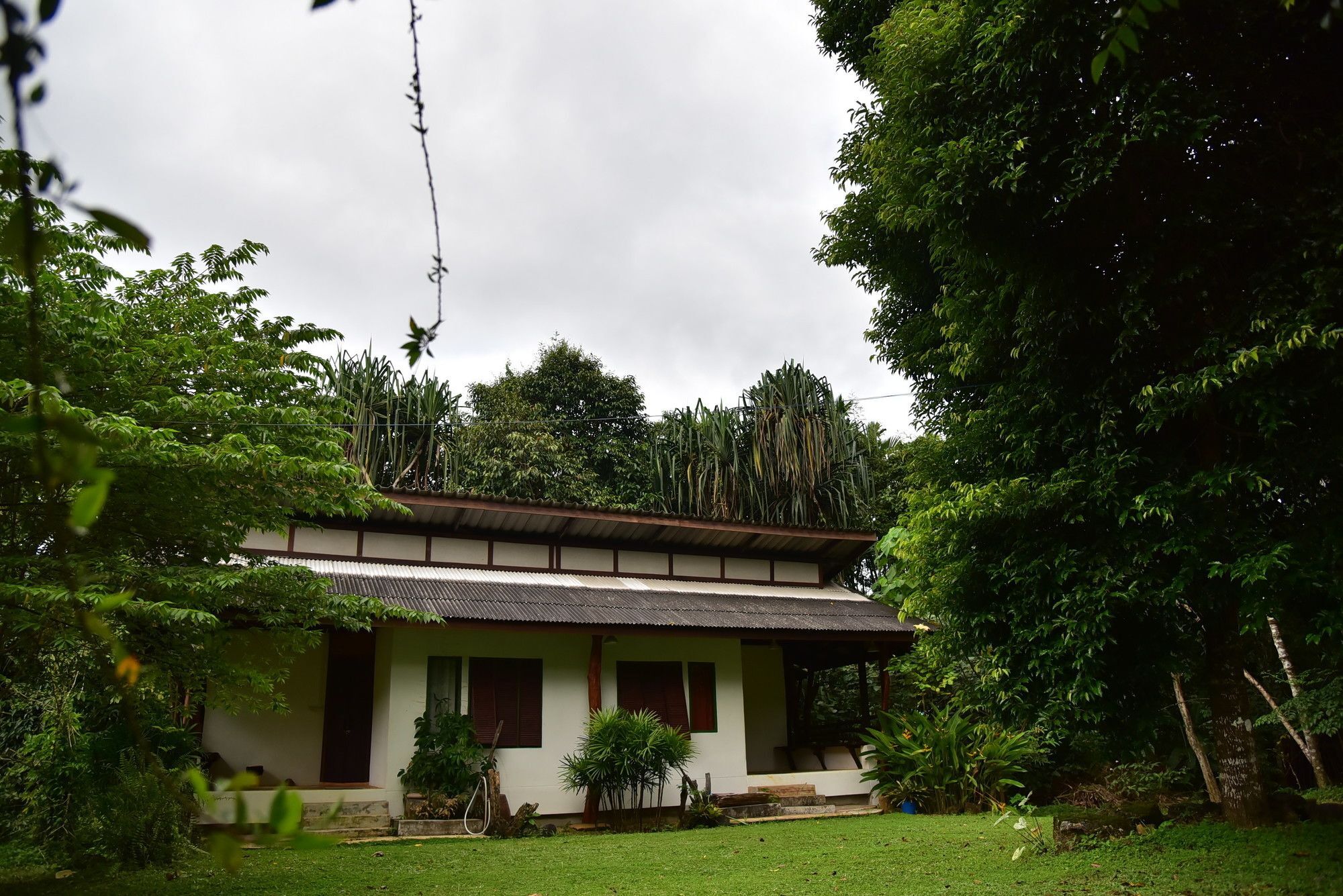 Guest house Khao Sok