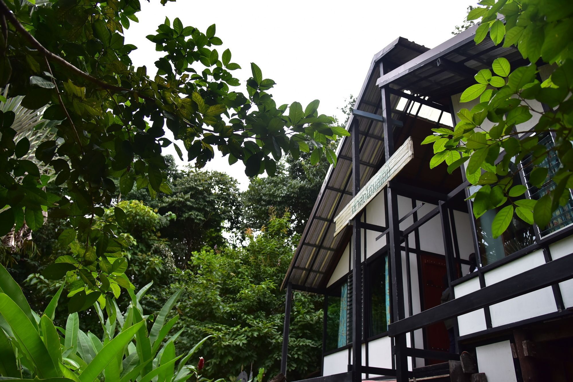 Khao Sok 2*