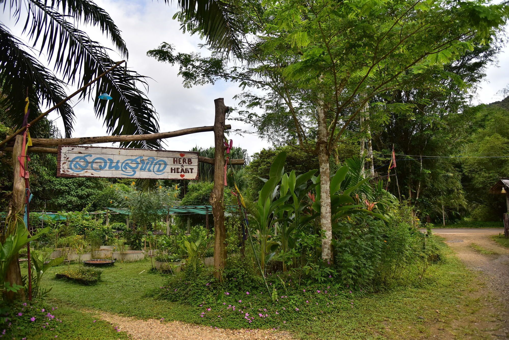 Khao Sok 2*