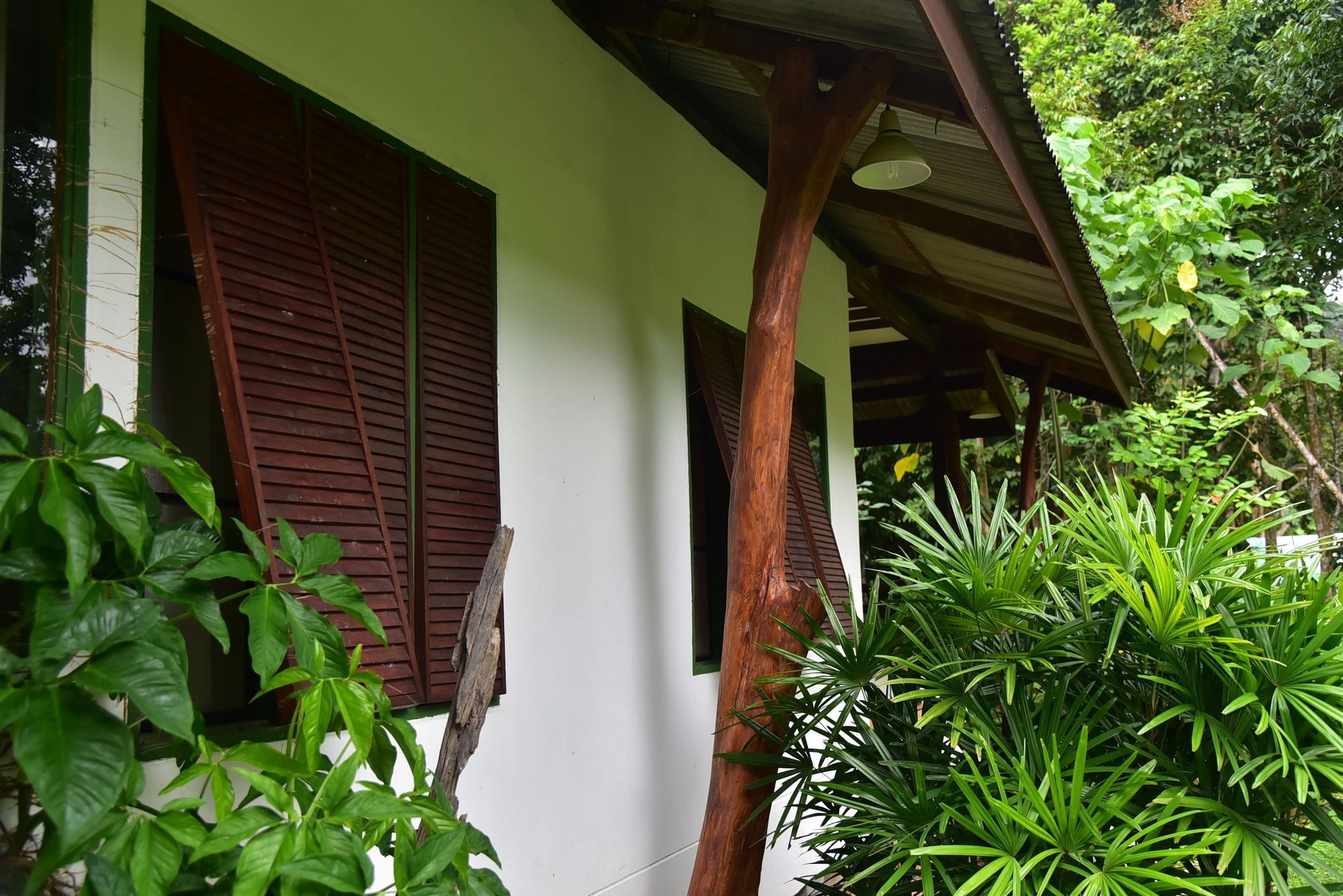 Khao Sok 2*