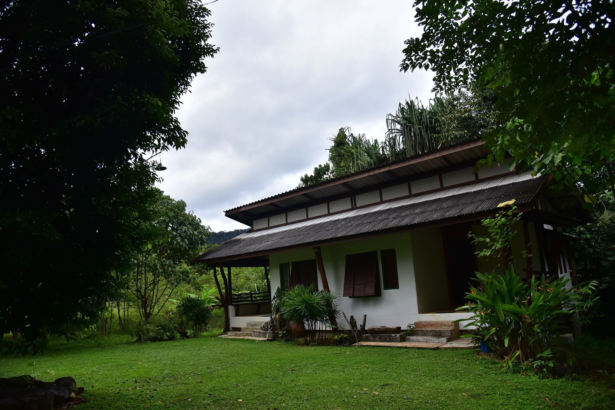 Khao Sok Guest house Khao Sok National Park