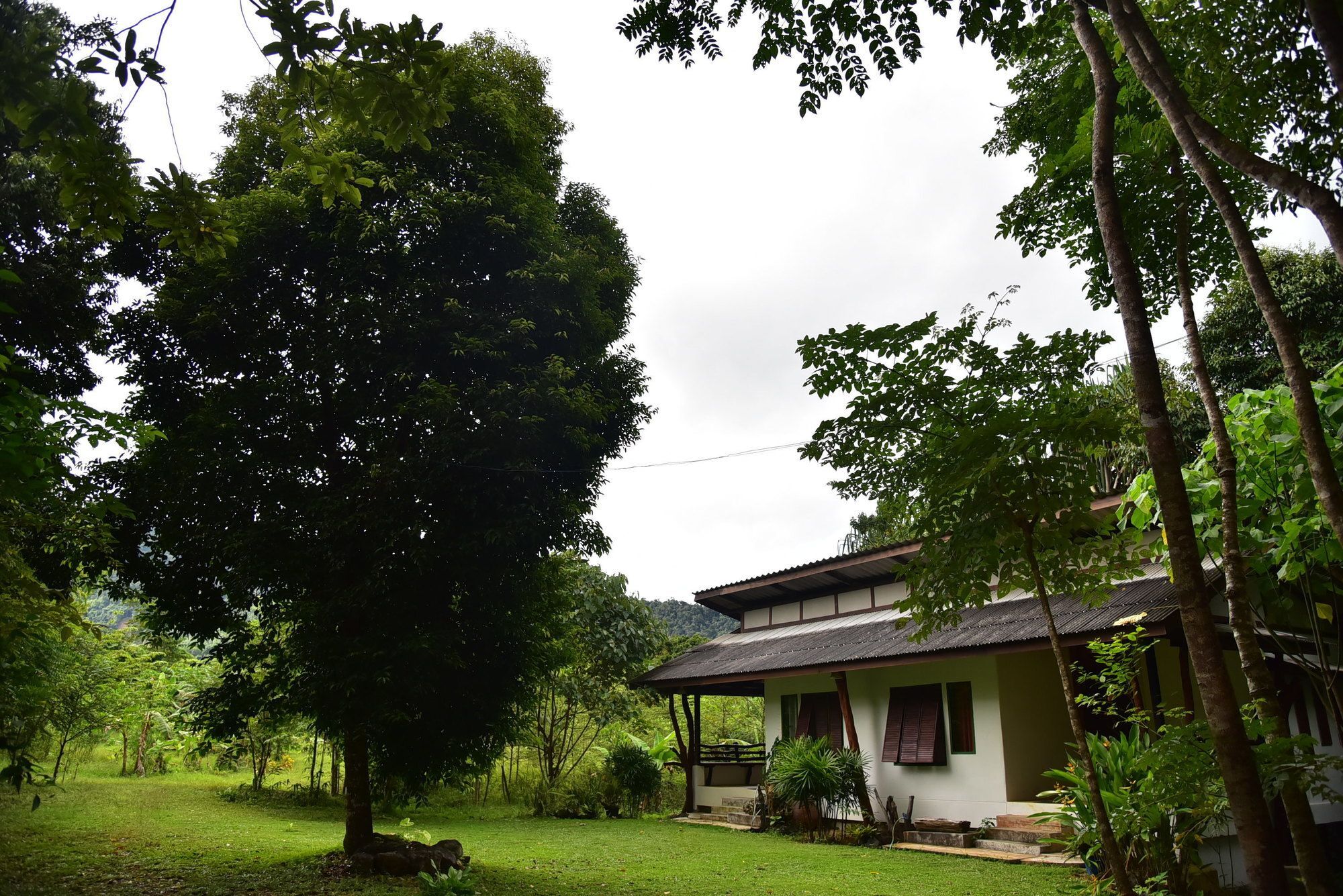 Guest house Khao Sok